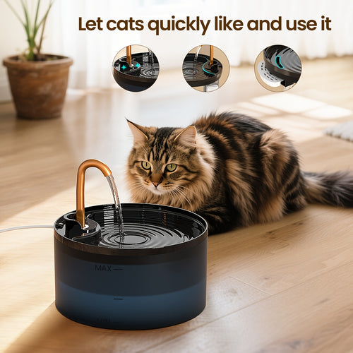 Cat water fountain