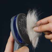 Cat Comb