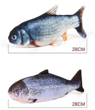 Flippity Fish