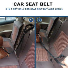 Car Seat Belt