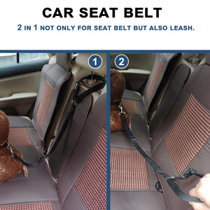 Car Seat Belt