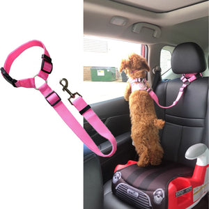 Car Seat Belt